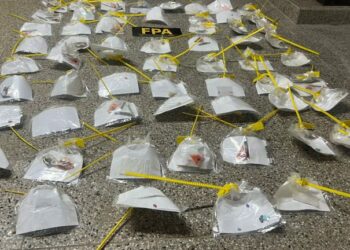 Drogas incautadas. fiesta electrónica