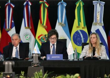 El Presidente Javier Milei en la Cumbre del Mercosur.