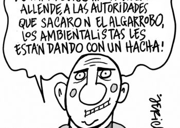 “Mini Contemporáneo”: también se puede crear en pequeños formatos