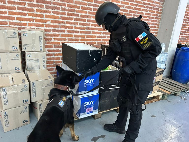 Incautaron tussi, éxtasis, MDMA y "caramelos locos" en una fiesta electrónica Operativo de la Fuerza Policial Antinarcotráfico.