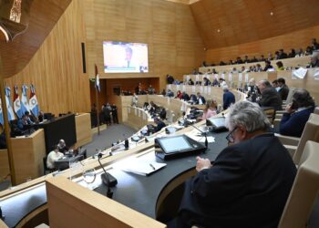 Preocupación por el proyecto de LLA para desregular a los colegios profesionales