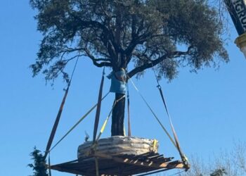 Finalmente se trasladó el quebracho blanco de Villa Allende, con una grúa de Tucumán