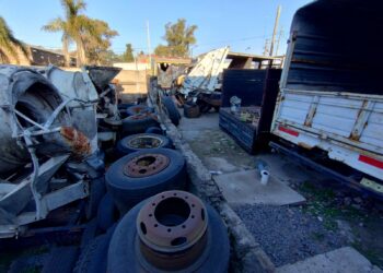 Desmantelan desarmadero ilegal con autopartes valuadas en $200 millones en Los Polvorines