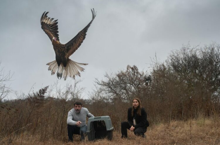 Liberaron 15 ejemplares de fauna silvestre en el departamento Santa María.
