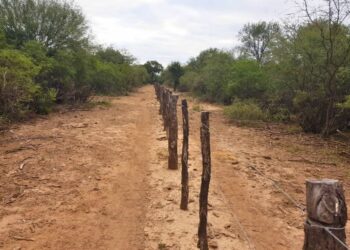 Prevención de incendios: prácticas agropecuarias para el manejo del fuego