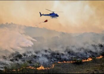 En el primer semestre se quemaron 2.737 hectáreas, más que en el mismo período de 2024