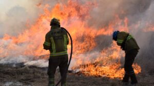 En el primer semestre se quemaron 2.737 hectáreas, una cifra similar a las 2.479 hectáreas del 2024