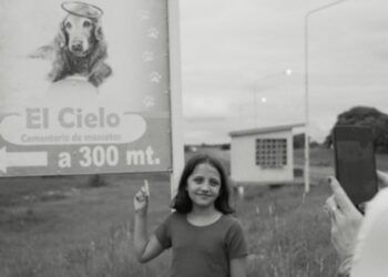 Novedades y ciclos destacados en la pantalla del fin de semana