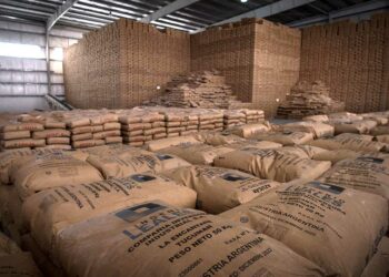 Los azucareros argentinos rechazan la propuesta de Lula Da Silva para liberalizar el comercio en el Mercosur