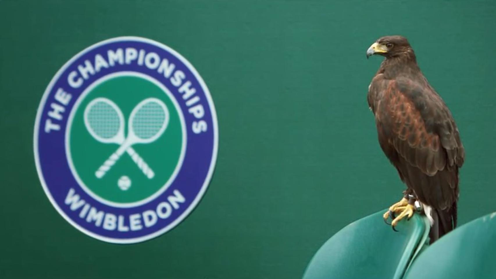 10 curiosidades de Wimbledon, el torneo de tenis más antiguo del mundo