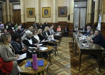 Otra semana clave en el Senado: universidades, Garrahan y decretos