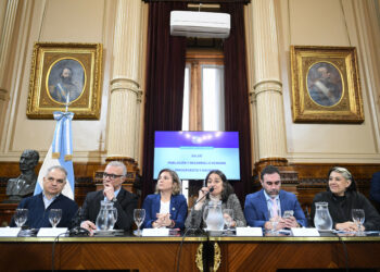 El Senado avanza con la emergencia en pediatría y deja en jaque al Gobierno