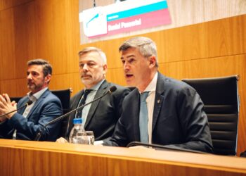 Passerini: El verdadero ajuste debe comenzar por los privilegios, los gastos superfluos de la casta