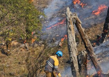 Bomberos Voluntarios.