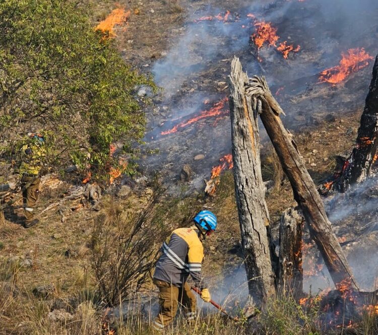 Bomberos Voluntarios.