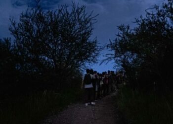 Caminata nocturna por la Reserva Natural Urbana General San Martín