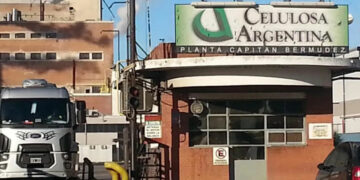 Celulosa Argentina entra en "quiebra técnica" Celulosa