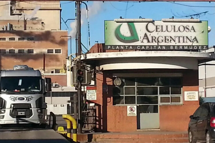 Celulosa