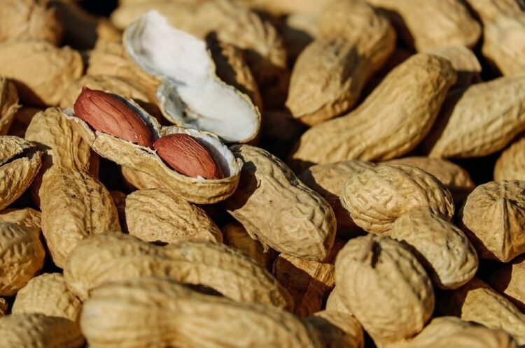 * Las ventas al exterior de este grano sumaron U$S 1.190 millones, superando a India, China, Estados Unidos y Brasil.