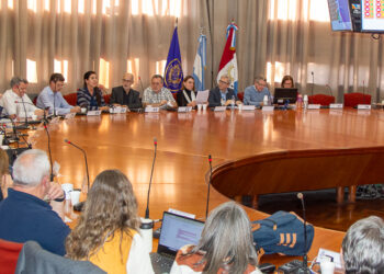 Consejo Superior de la Universidad Nacional de Córdoba.