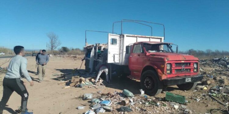 El juez decidió inhabilitar al conductor por 15 días y fijar una multa que supera los dos millones de pesos.
