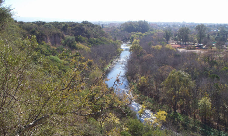 La medida busca evitar daños ambientales mientras se analiza la constitucionalidad de la norma.