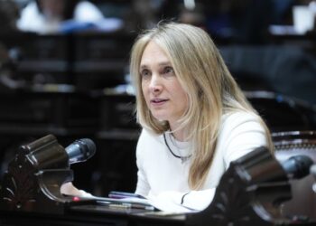 La diputada radical Gabriela Brouwer de Koning.