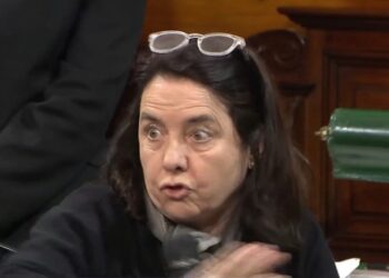 Repudian a la senadora Álvarez Rivero por sus críticas al hospital Garrahan