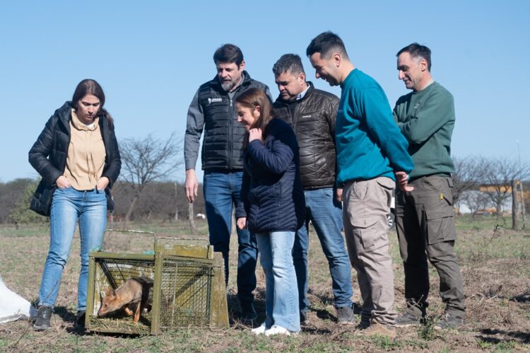 Suelta de fauna silvestre en El Tío, San Justo.