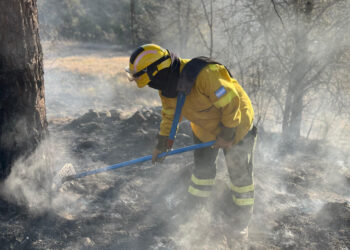 Lograron contener el incendio en Capilla Vieja