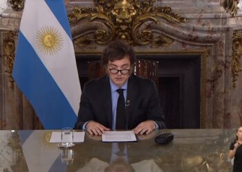 Milei criticó la sesión en Diputados y aseguró que se usaron «causas nobles como excusas»