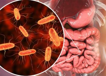 El Síndrome Urémico Hemolítico puede prevenirse.