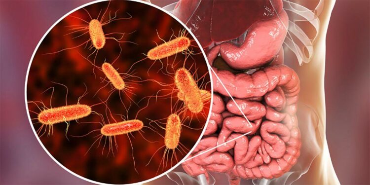 El Síndrome Urémico Hemolítico puede prevenirse.