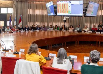 En su sesión de este miércoles, el cuerpo colegiado de la UNC también explicitó su preocupación y repudio ante el veto presidencial a la Ley de Emergencia en Discapacidad.