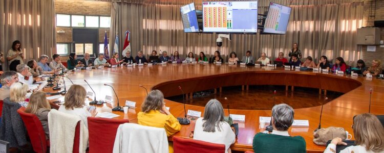 En su sesión de este miércoles, el cuerpo colegiado de la UNC también explicitó su preocupación y repudio ante el veto presidencial a la Ley de Emergencia en Discapacidad.