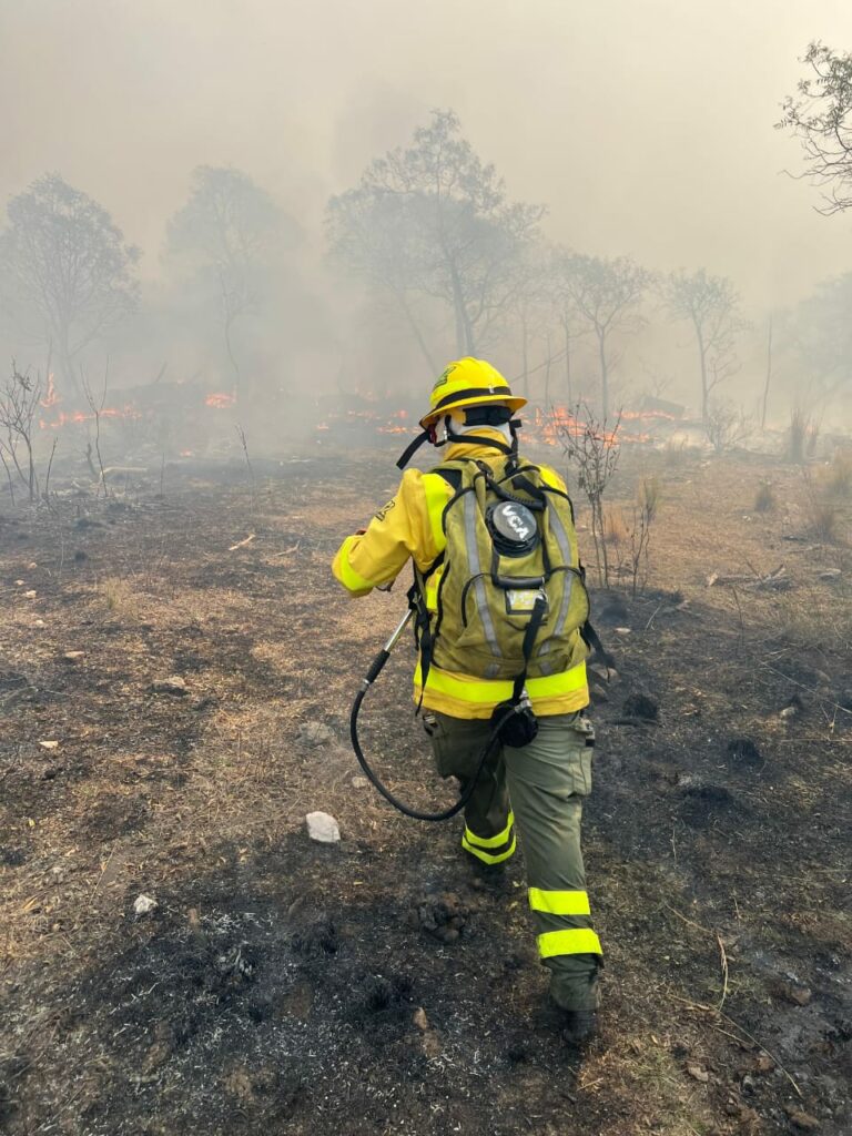 Bomberos combaten un incendio en la zona de Pampa Alta