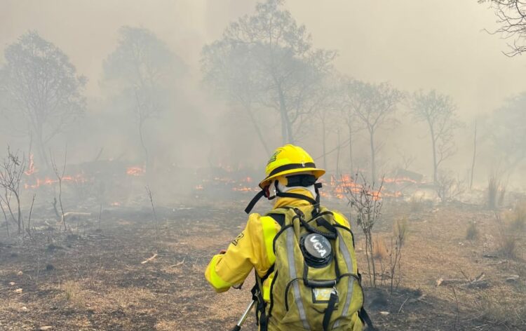 En el lugar trabajan 11 dotaciones de Bomberos Voluntarios y personal de la ETAC.