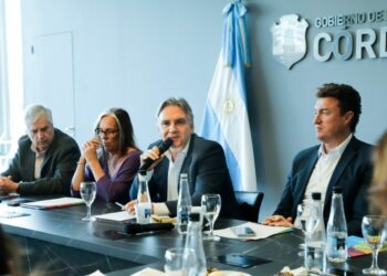 Llaryora se puso al frente del rechazo al veto de la ley de emergencia en discapacidad