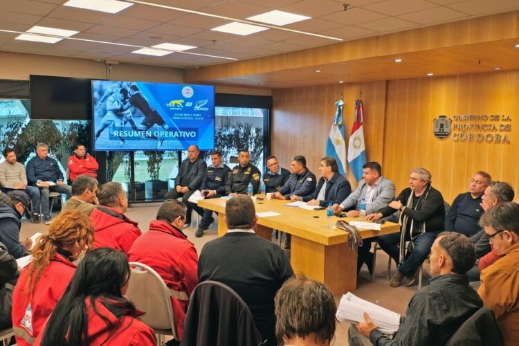 Así será el operativo de seguridad para LOS PUMAS vs ALL BLACKS.