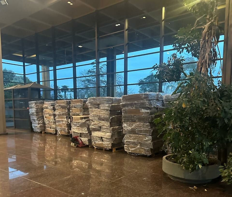 Mario Ignacio Rey / Llegaron las urnas
