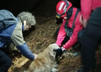 Rescataron a dos hombres y sus perros tras desorientarse en el Cerro Champaquí
