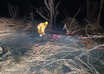 Ya son siete los detenidos por generar fuego en lugares no permitidos