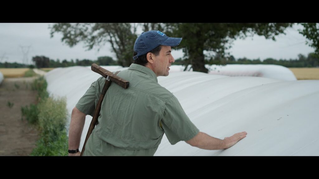 Películas argentinas y clásicas en la pantalla grande este fin de semana