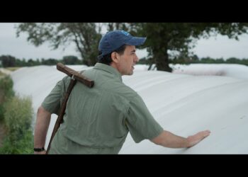 Películas argentinas y clásicas en la pantalla grande este fin de semana