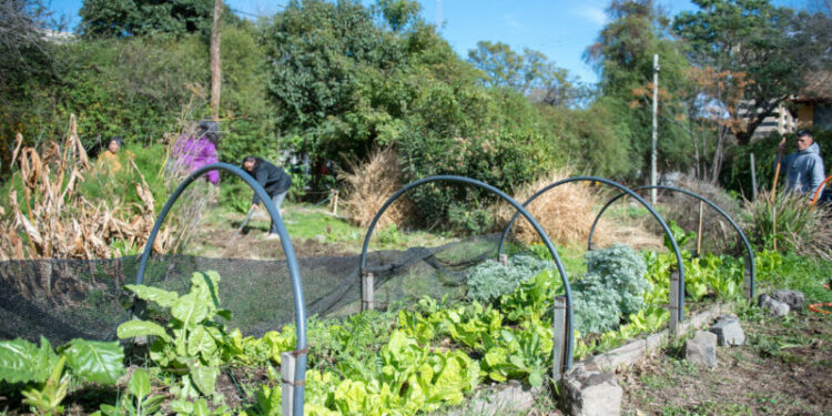 Cada proyecto cuenta con asesoramiento durante su trayecto.