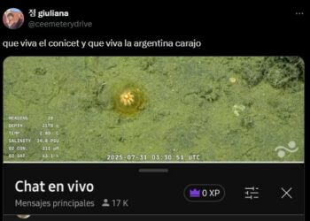 Furor en redes por el streaming del Conicet al fondo del mar argentino