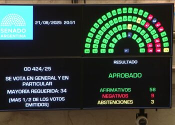 El Senado convirtió en ley el Financiamiento Educativo