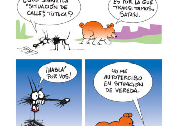 El voluntariado como expresión de abundancia en la vejez