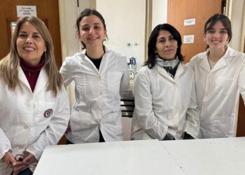 Investigadoras de la UNC logran reparar microfisuras en el hormigón utilizando bacterias