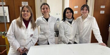 Investigadoras de la UNC logran reparar microfisuras en el hormigón utilizando bacterias